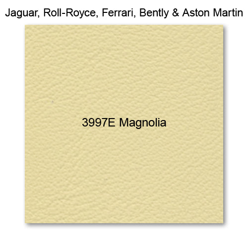 3997E Magnolia