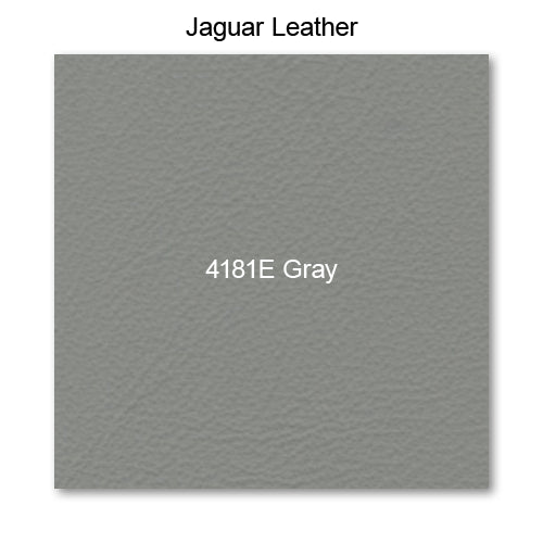 4181E Gray