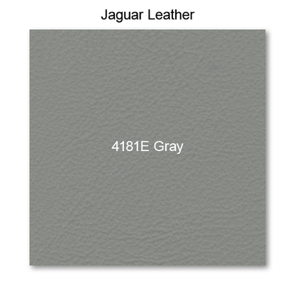 4181E Gray