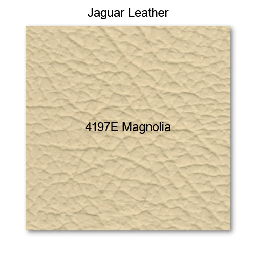 4197E Magnolia