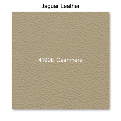 4199E Cashmere