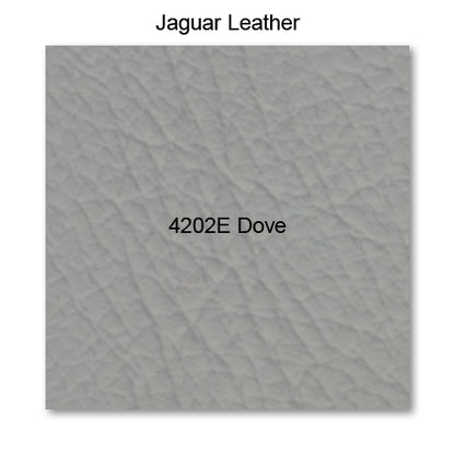 4202E Dove