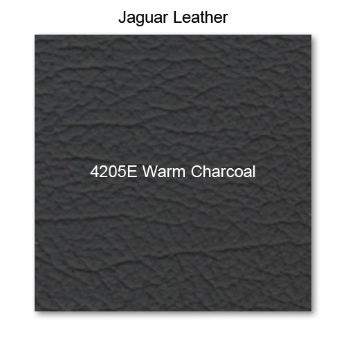 4205E Warm Charcoal