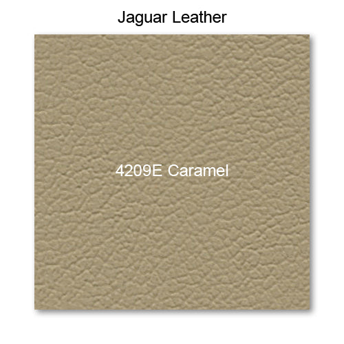 4209E Caramel